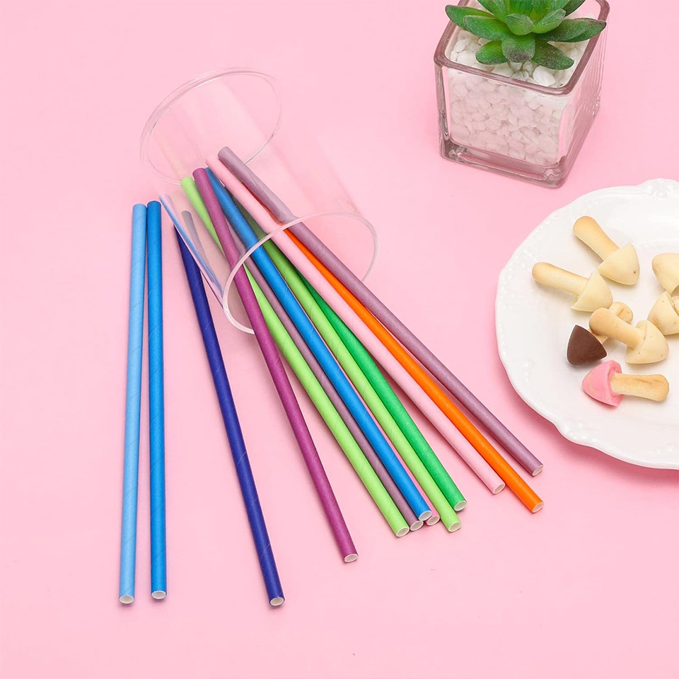 Pailles en papier jetables de  - Paper Straw Color avis et prix